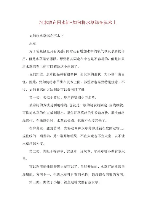 沉木放在困水缸-如何将水草绑在沉木上