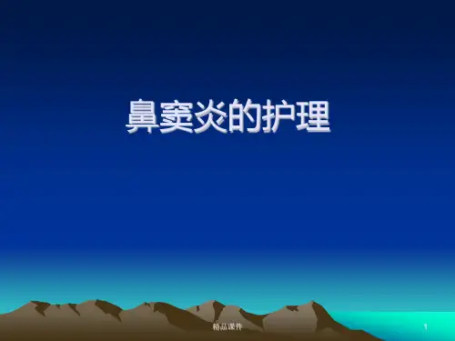 鼻窦炎的护理PPT课件