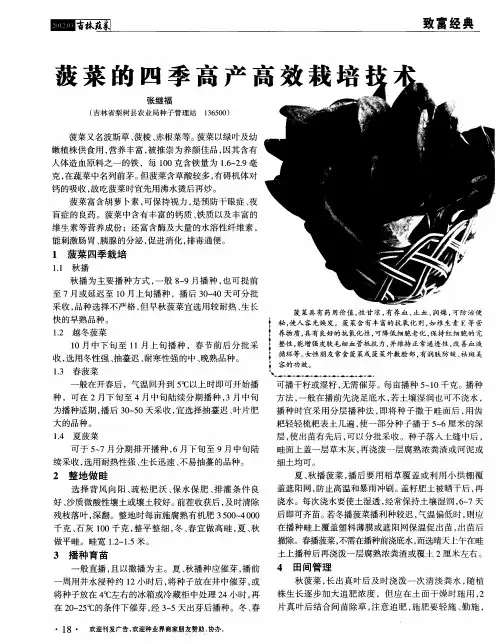 菠菜的四季高产高效栽培技术