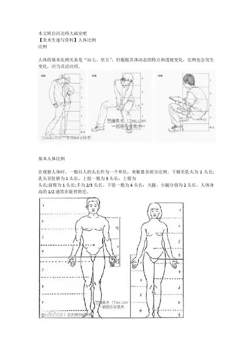 【美术生速写资料】人体比例
