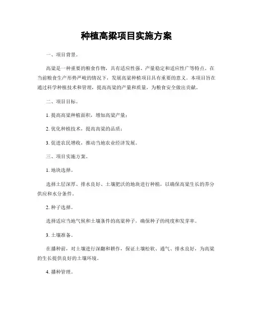 种植高粱项目实施方案