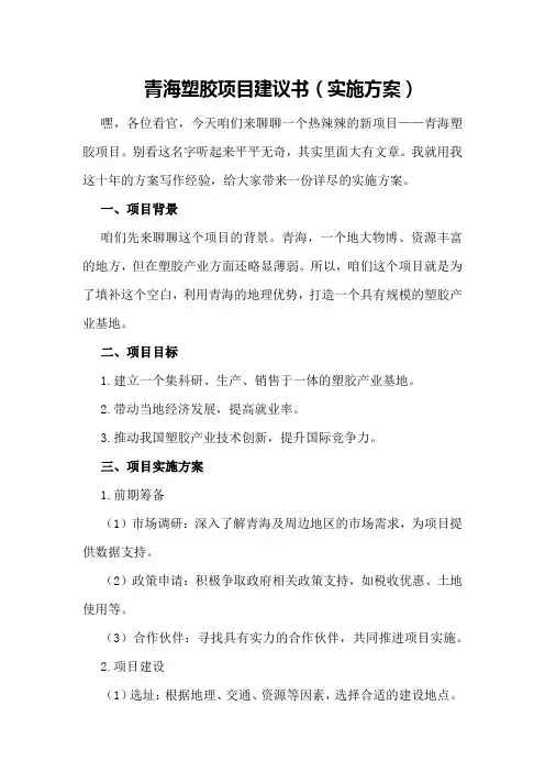 青海塑胶项目建议书