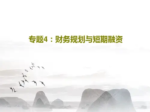 专题4：财务规划与短期融资81页PPT