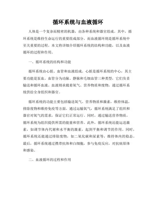 循环系统与血液循环