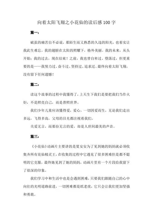 向着太阳飞翔之小花仙的读后感100字