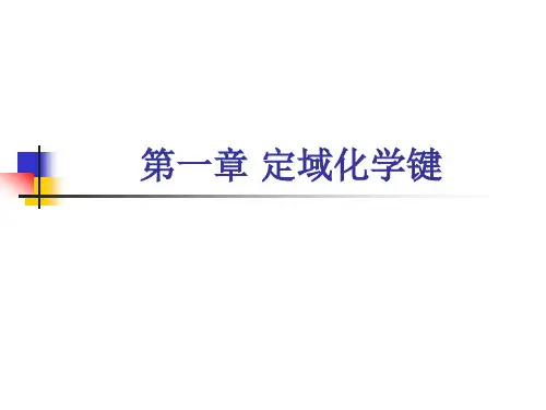 第一章 定域化学键