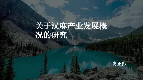 汉麻产业研究PPT.