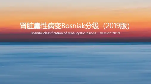 肾脏囊性病变Bosniak分级影像诊断