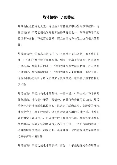 热带植物叶子的特征