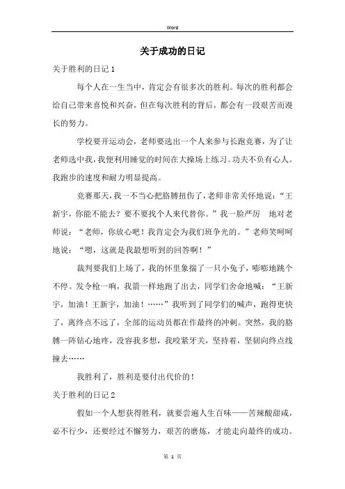 关于成功的日记