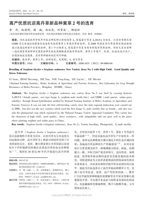 1633785_高产优质抗逆高丹草新品种冀草2号的选育