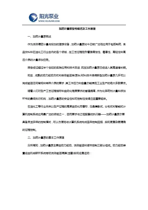 加药计量泵型号概述及工作原理