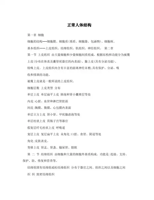 正常人体结构