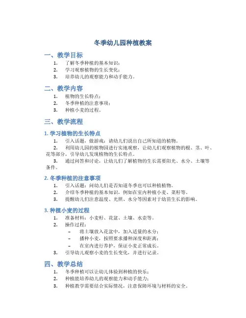 冬季幼儿园种植教案