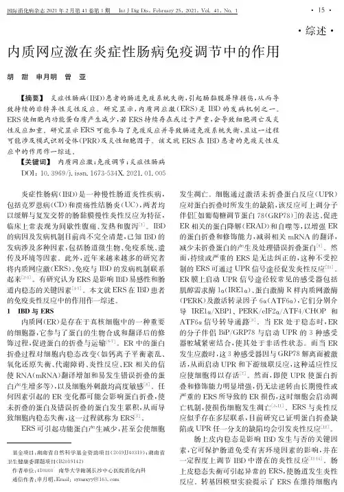 内质网应激在炎症性肠病免疫调节中的作用