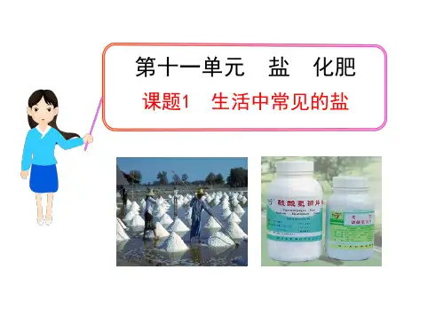 公开课：生活中常见的盐.