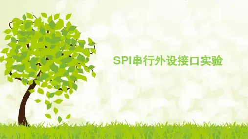 单片机开发 SPI串行外设接口实验(1)