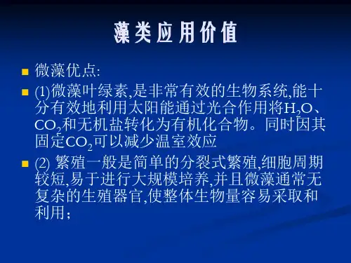 藻类应用价值