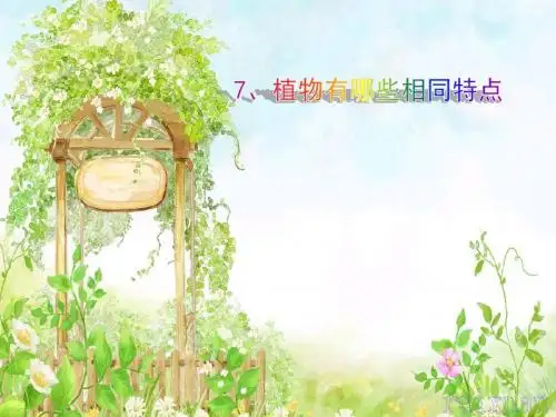 7、植物有哪些相同特点