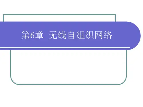 第6章 无线自组织网络要点