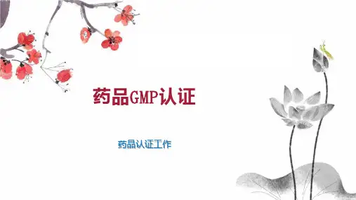 药品GMP认证