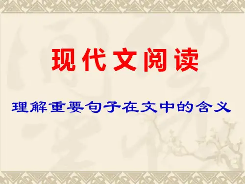 理解重要句子在文中的含义