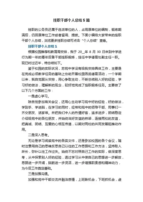 挂职干部个人总结5篇
