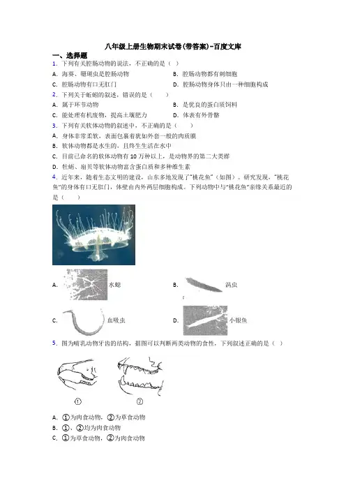 八年级上册生物期末试卷(带答案)-百度文库