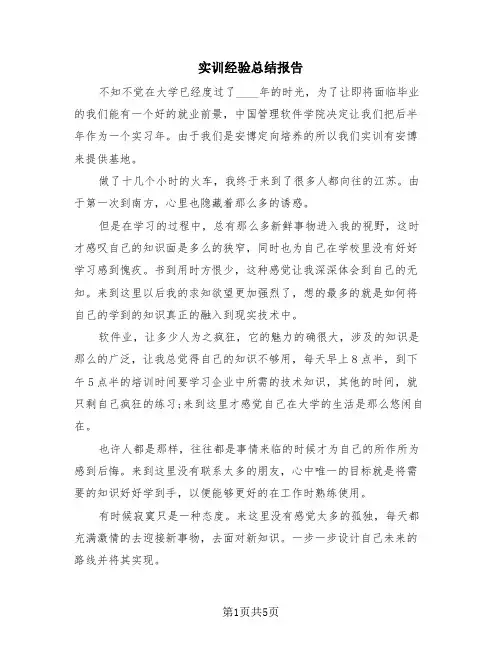 实训经验总结报告(2篇)