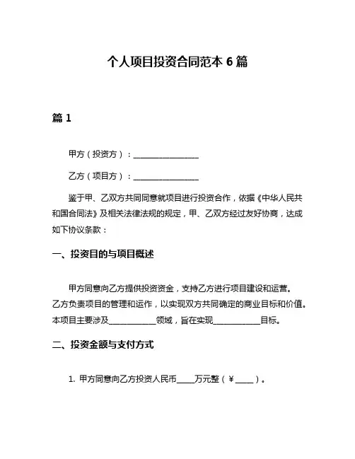个人项目投资合同范本6篇