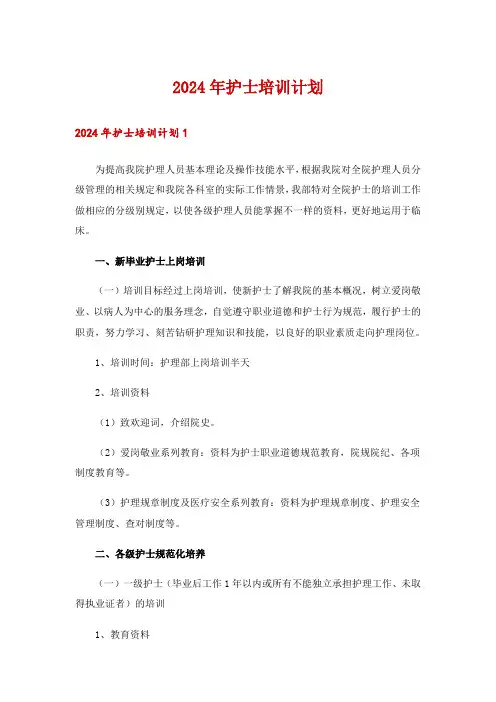 2024年护士培训计划_1