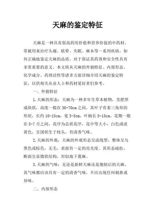 天麻的鉴定特征