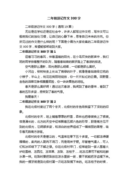 二年级游记作文300字