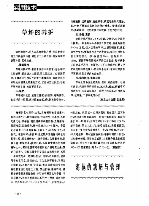 海桐的栽培与管理