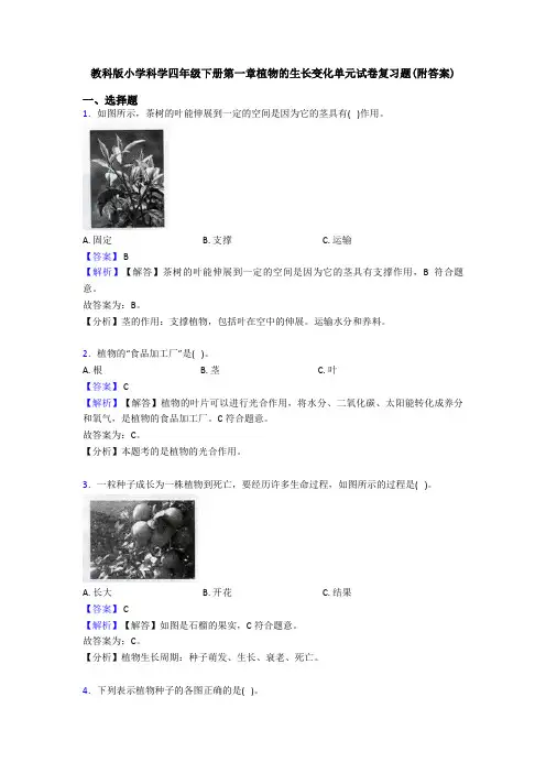 教科版小学科学四年级下册第一章植物的生长变化单元试卷复习题(附答案)
