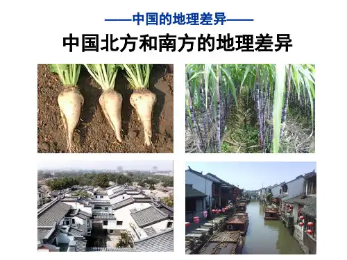 中国的南方与北方