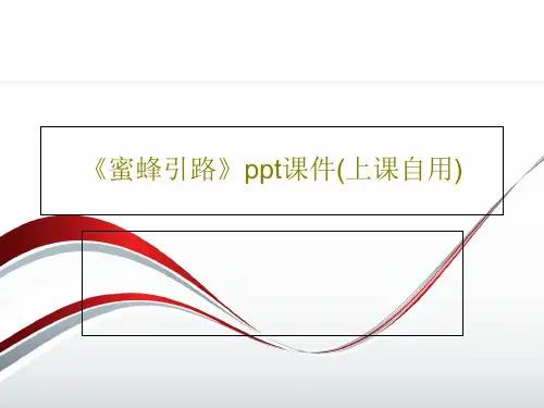 《蜜蜂引路》ppt课件(上课自用)50页PPT