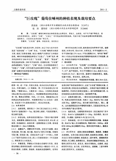 “巨玫瑰”葡萄在嵊州的种植表现及栽培要点