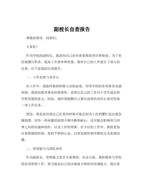 副校长自查报告