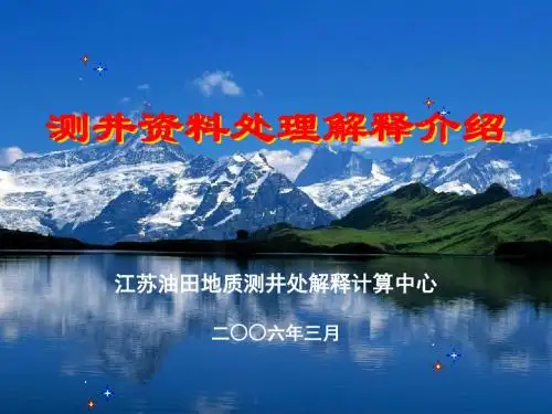 测井资料应用