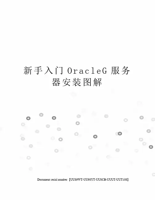 新手入门OracleG服务器安装图解