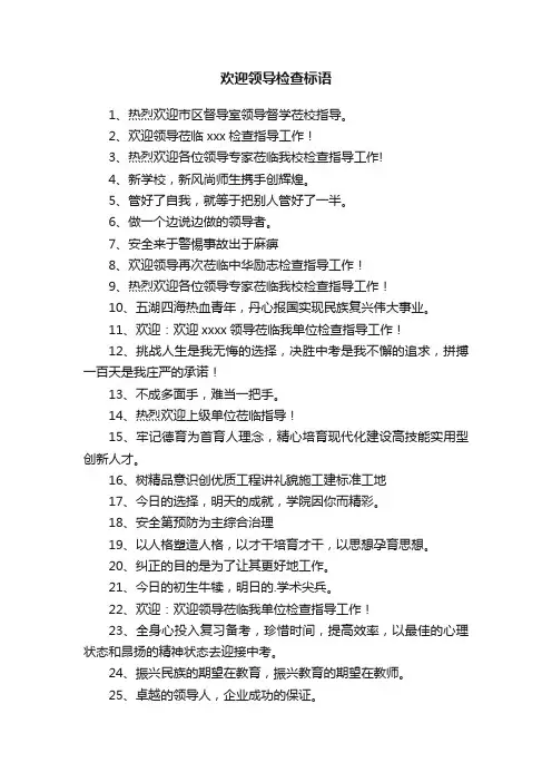 欢迎领导检查标语