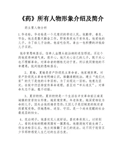 《药》所有人物形象介绍及简介