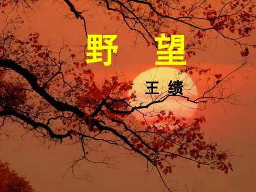 部编版八年级语文上册--13唐诗五首精品课件