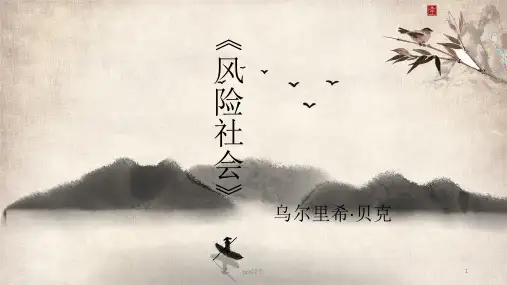 风险社会 ppt课件