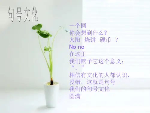 关于当代大学生职业价值观的调查报告,最终版