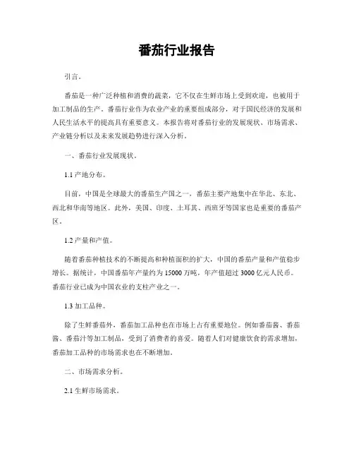 番茄行业报告