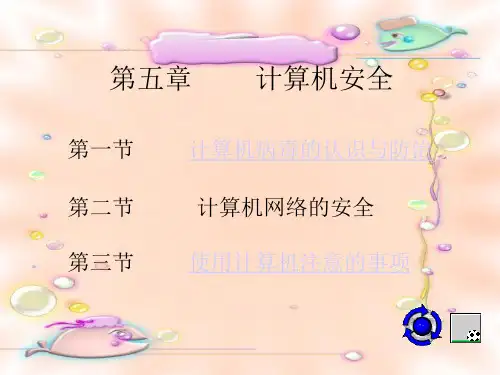 计算机安全精品PPT教学课件