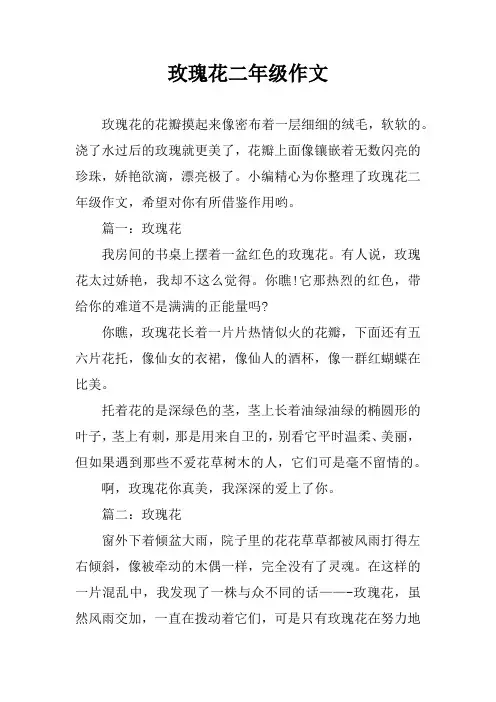 玫瑰花二年级作文