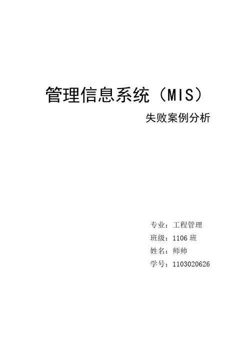 管理信息系统(MIS)失败案例分析